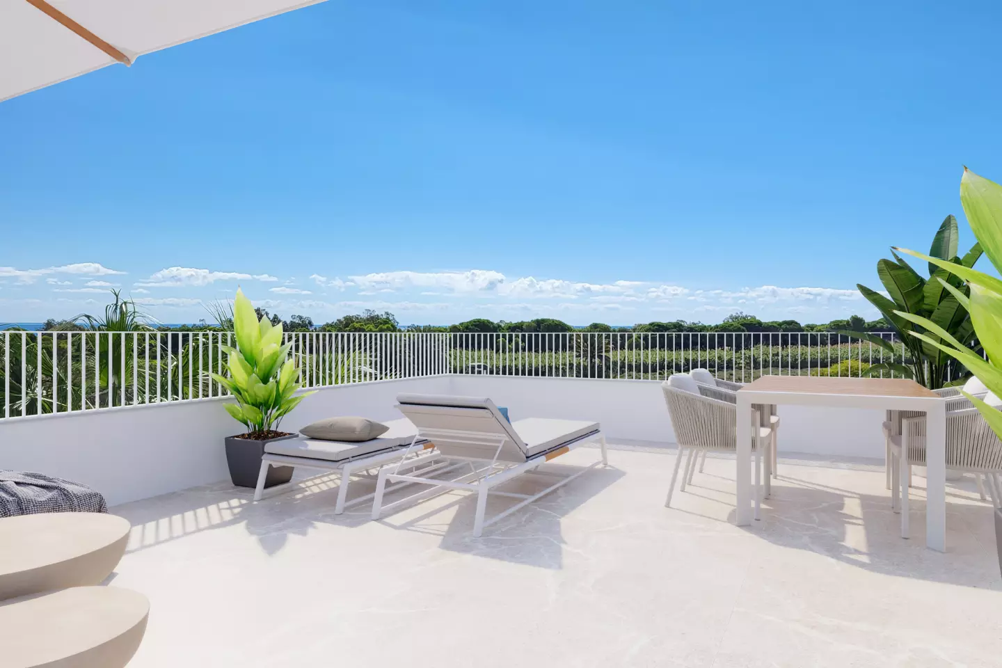 Natura Pinet M17 in Elche - widok zewnętrzny zdjęcie 1