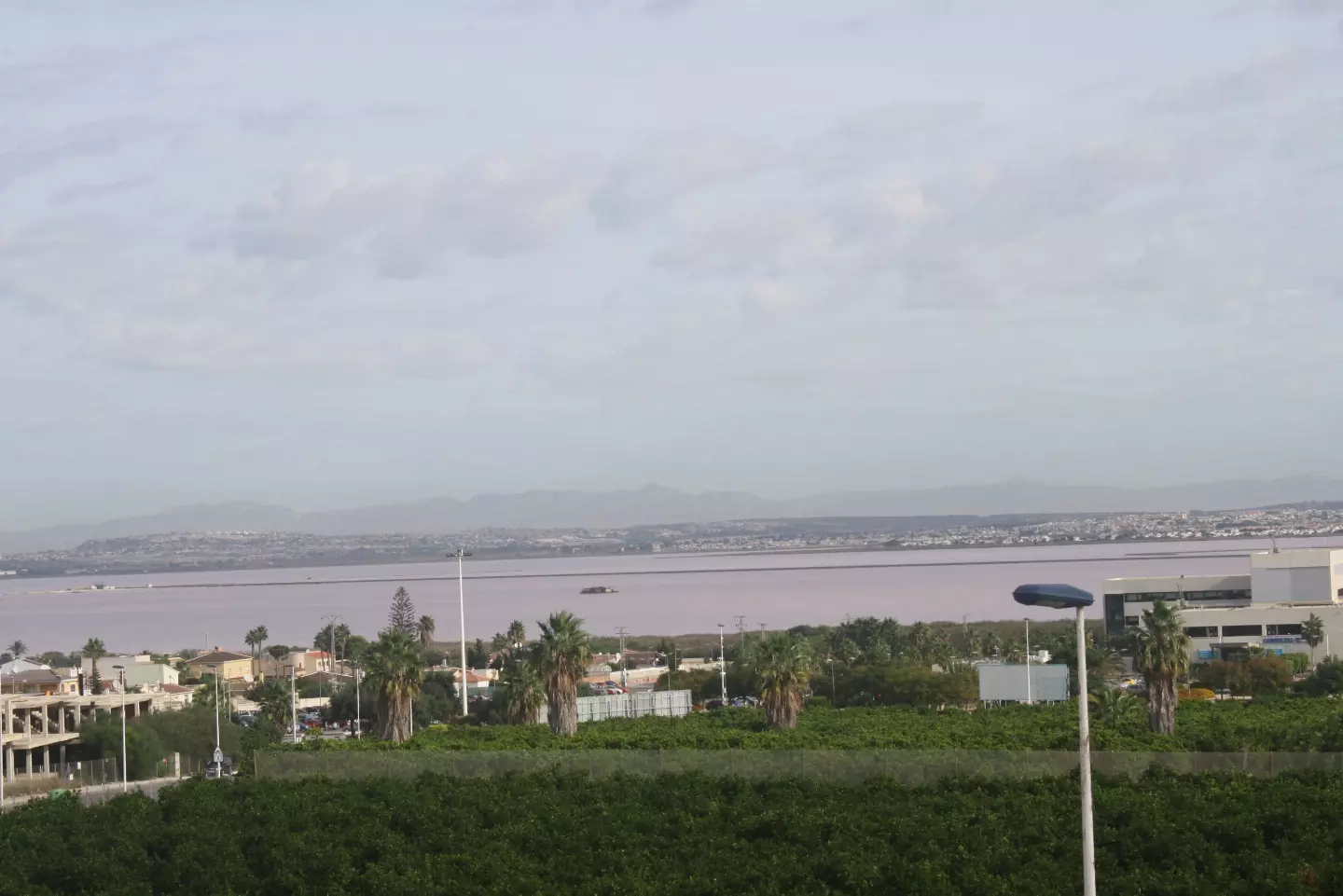 Viveros II in Torrevieja - экстерьер фото 1