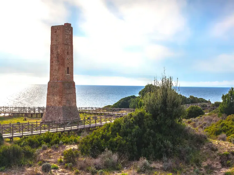 Nybyggeri in Artola