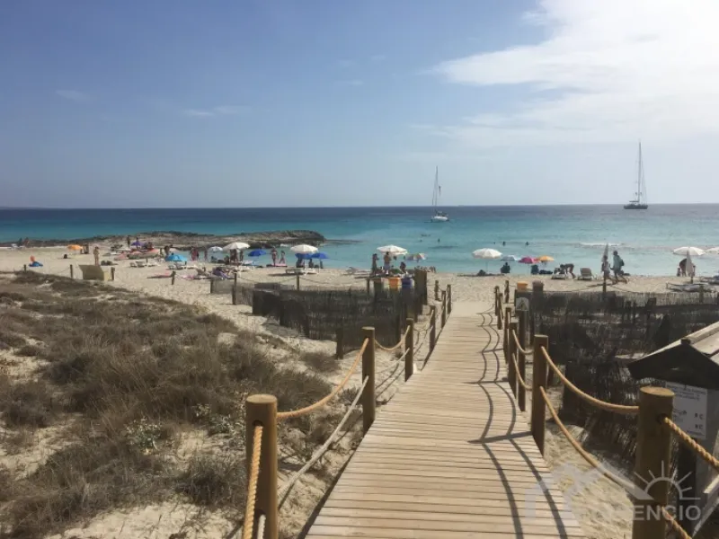 Nybyggeri in Formentera del Segura