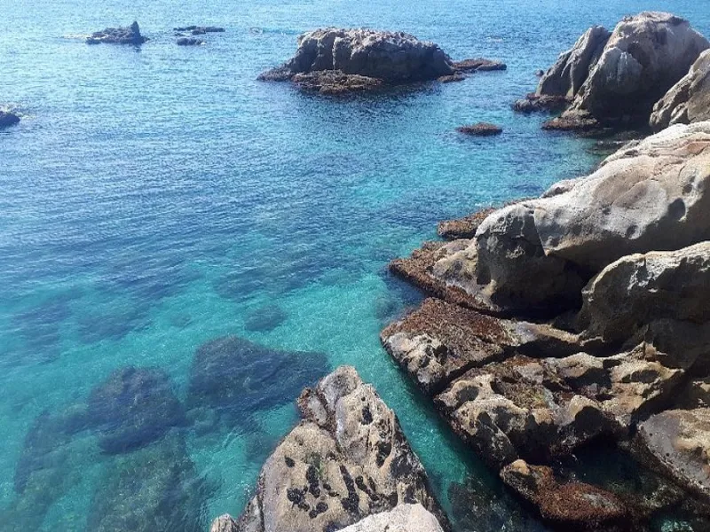 Nybyggeri in La Chullera