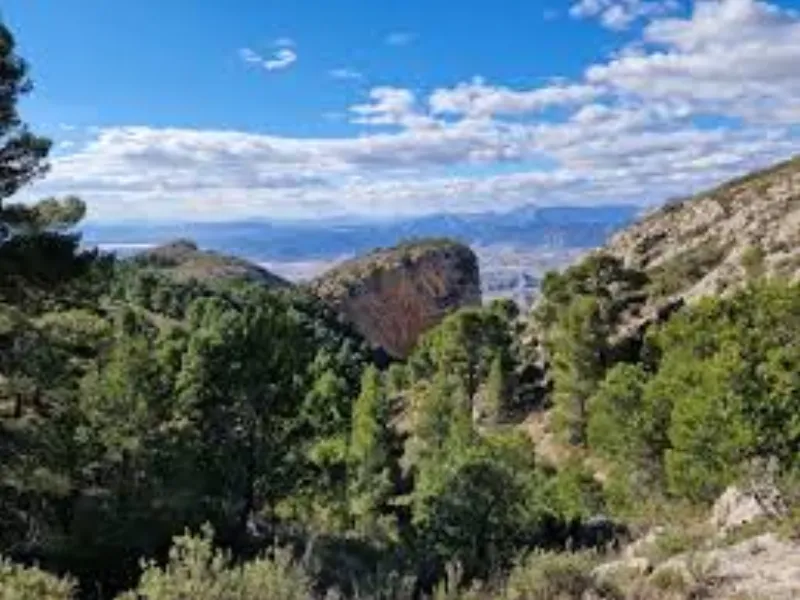 Nybyggeri in Mutxamel