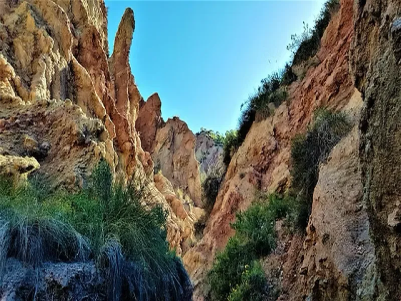 Nybyggeri in Pinoso